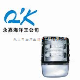 NFC9131 节能型热启动泛光灯 NFC9131-400W 海洋王节能双管泛光灯2*400W