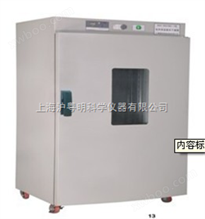 高温恒温鼓风干燥箱DGX-8053B/高温恒干燥箱/415x370x345MM