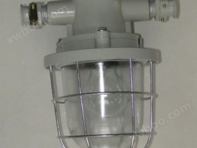 DGS-60/127B（T）矿用隔爆型白炽灯