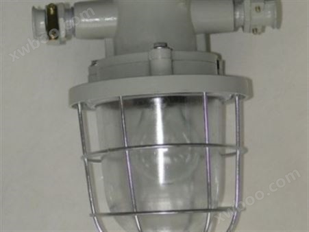 DGS-60/127B（T）矿用隔爆型白炽灯