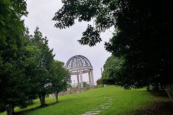 宿州市砀山县“三整治一保障”专项行动 守护群众身边“幸福蓝”