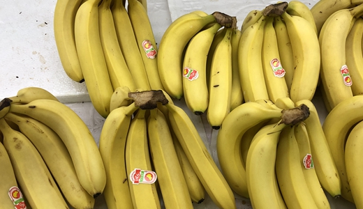 华南农业大学园艺学院李雪萍课题组在香蕉采后保鲜技术和胁迫响应研究取得新的进展