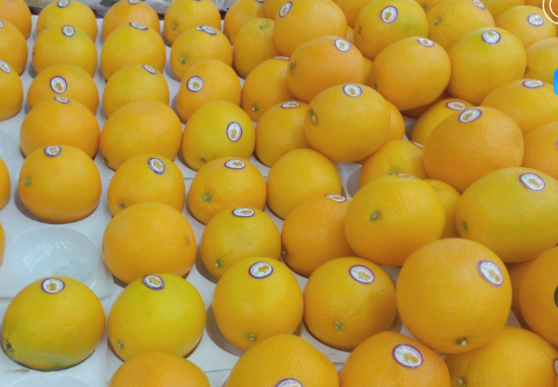 选果机为赣南脐橙产业注入新动能